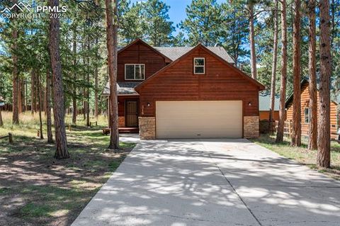 Photo of 316 N Walnut Street, Woodland Park, CO 80863 (MLS # 5231393)