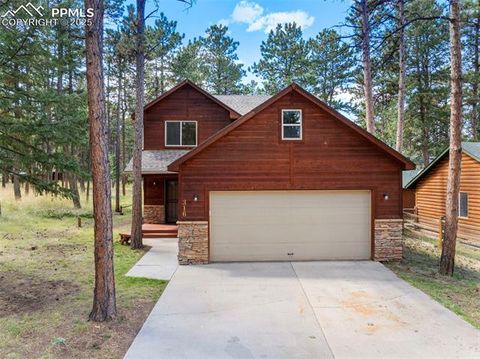 Tiny photo for 316 N Walnut Street, Woodland Park, CO 80863 (MLS # 5231393)