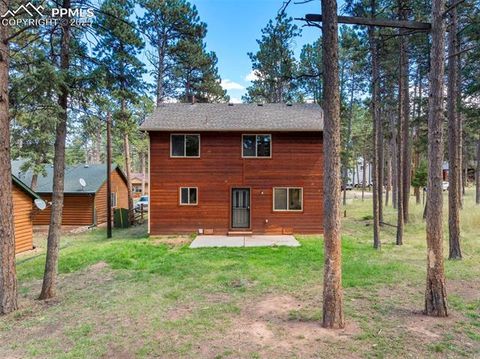 Tiny photo for 316 N Walnut Street, Woodland Park, CO 80863 (MLS # 5231393)