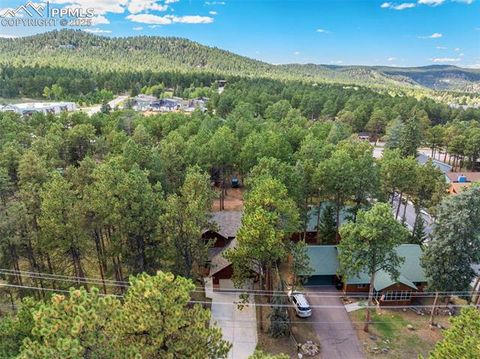 Tiny photo for 316 N Walnut Street, Woodland Park, CO 80863 (MLS # 5231393)