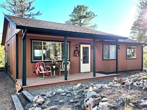 Photo of 2063 Vagabond Creek Drive, Lake George, CO 80827 (MLS # 4718115)