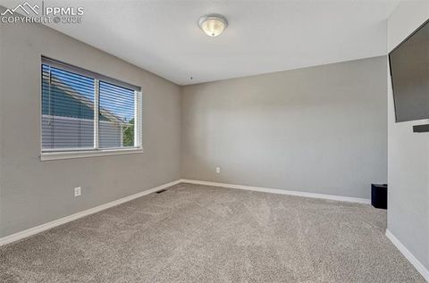 Tiny photo for 201 S Boundary Street, Woodland Park, CO 80863 (MLS # 1107795)
