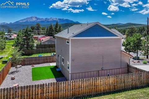 Tiny photo for 201 S Boundary Street, Woodland Park, CO 80863 (MLS # 1107795)