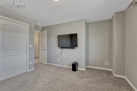 Tiny photo for 201 S Boundary Street, Woodland Park, CO 80863 (MLS # 1107795)