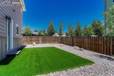 Tiny photo for 201 S Boundary Street, Woodland Park, CO 80863 (MLS # 1107795)