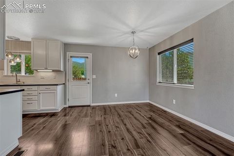Tiny photo for 201 S Boundary Street, Woodland Park, CO 80863 (MLS # 1107795)