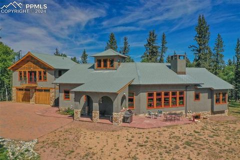 4815 County Road 42 Divide CO 80814