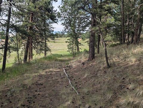 Photo of 1379 S Mountain Estates Road, Florissant, CO 80816 (MLS # 4999262)