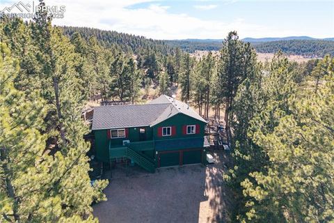 Photo of 517 Crystal Peak Road, Florissant, CO 80816 (MLS # 5399866)