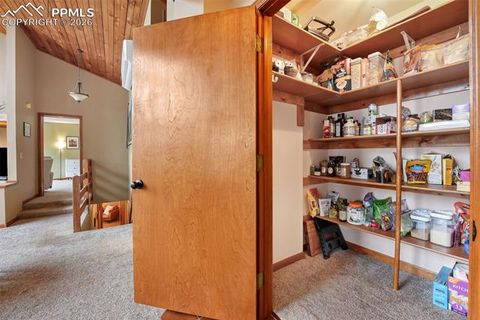 Tiny photo for 220 Morning Sun Drive, Woodland Park, CO 80863 (MLS # 4771573)