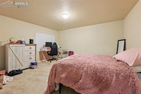 Tiny photo for 13114 Cake Bread Heights, Colorado Springs, CO 80921 (MLS # 4027733)