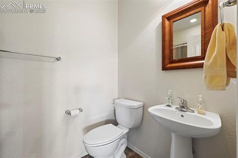 Tiny photo for 13114 Cake Bread Heights, Colorado Springs, CO 80921 (MLS # 4027733)