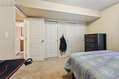 Tiny photo for 13114 Cake Bread Heights, Colorado Springs, CO 80921 (MLS # 4027733)