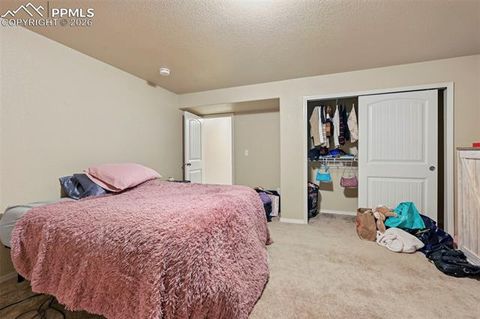 Tiny photo for 13114 Cake Bread Heights, Colorado Springs, CO 80921 (MLS # 4027733)