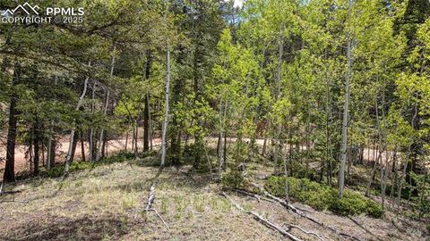 1058 Bennett Drive Cripple Creek CO 80813
