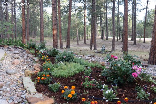 855 Pebble Creek Court