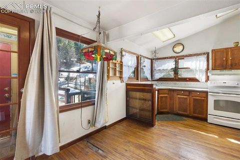 Tiny photo for 9735 Mountain Road, Cascade, CO 80809 (MLS # 7154155)