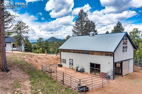 Tiny photo for 983 Rangeview Road, Divide, CO 80814 (MLS # 3945909)