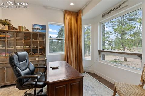 Tiny photo for 983 Rangeview Road, Divide, CO 80814 (MLS # 3945909)