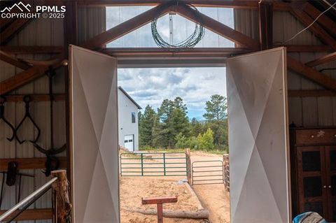 Tiny photo for 983 Rangeview Road, Divide, CO 80814 (MLS # 3945909)