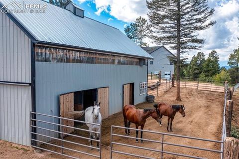 Tiny photo for 983 Rangeview Road, Divide, CO 80814 (MLS # 3945909)