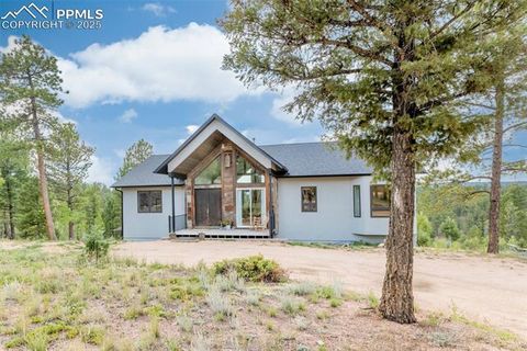 Tiny photo for 983 Rangeview Road, Divide, CO 80814 (MLS # 3945909)