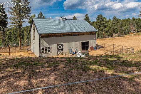 Tiny photo for 983 Rangeview Road, Divide, CO 80814 (MLS # 3945909)