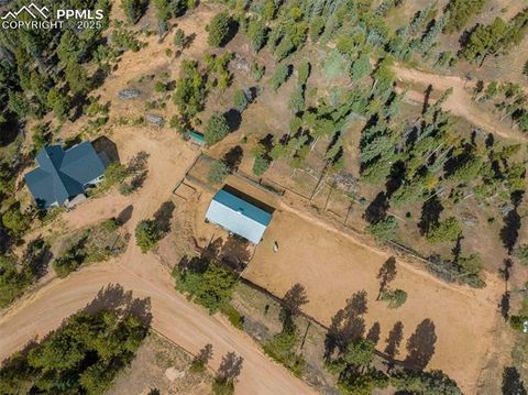 Tiny photo for 983 Rangeview Road, Divide, CO 80814 (MLS # 3945909)