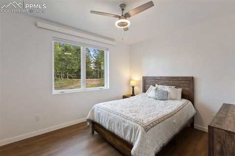 Tiny photo for 983 Rangeview Road, Divide, CO 80814 (MLS # 3945909)