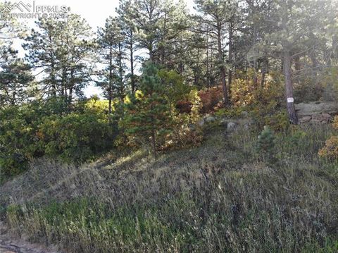 Photo of Oakdale Terrace, Monument, CO 80132 (MLS # 4744959)