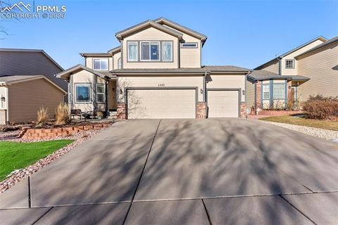 Photo of 1442 Lookout Springs Drive, Colorado Springs, CO 80921 (MLS # 1901443)