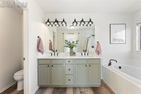 Tiny photo for 1442 Lookout Springs Drive, Colorado Springs, CO 80921 (MLS # 1901443)