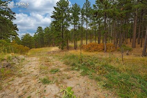 Photo of 14420 S Perry Park Road, Larkspur, CO 80118 (MLS # 6479672)