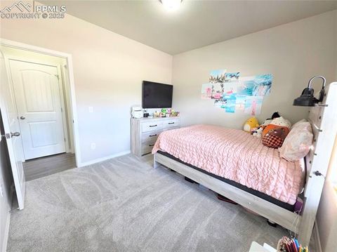 Tiny photo for 10898 Hidden Prairie Parkway, Fountain, CO 80817 (MLS # 9925489)