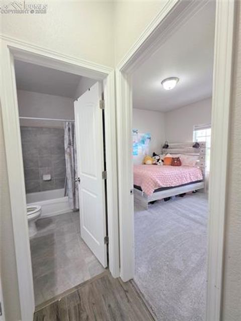 Tiny photo for 10898 Hidden Prairie Parkway, Fountain, CO 80817 (MLS # 9925489)