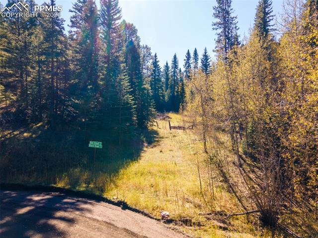 12301 Black Hawk Trail