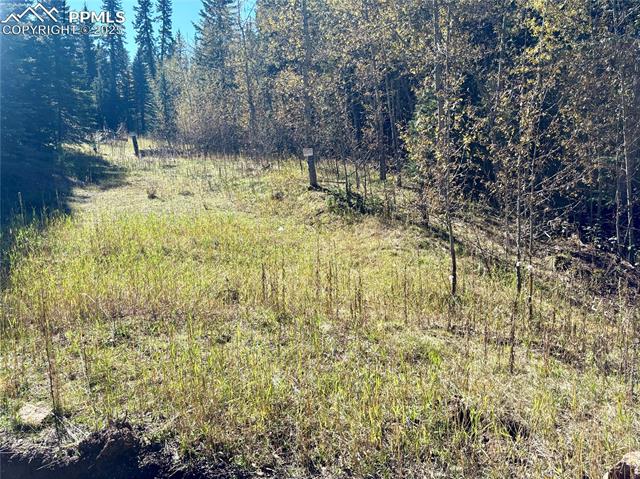 12301 Black Hawk Trail