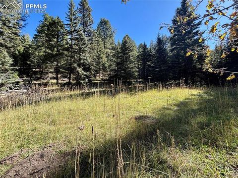 Photo of 12301 Black Hawk Trail, Conifer, CO 80433 (MLS # 6777967)
