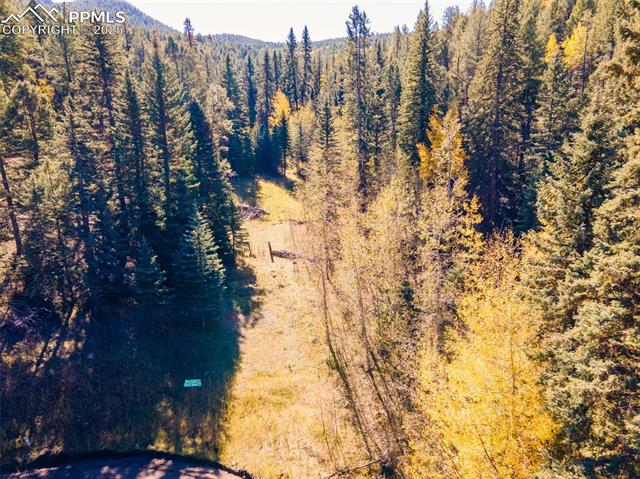 12301 Black Hawk Trail