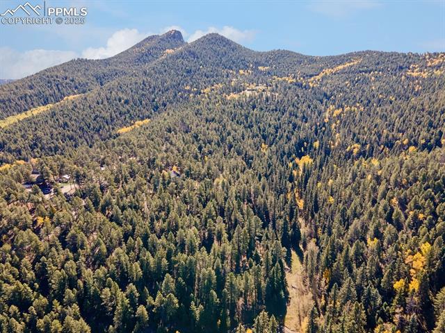 12301 Black Hawk Trail