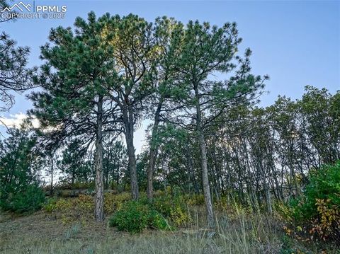 Tiny photo for 3765 Hartsock Lane #307, Colorado Springs, CO 80917 (MLS # 1825010)