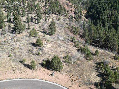 Photo of 1375 Blue Haven Place, Woodland Park, CO 80863 (MLS # 3942208)