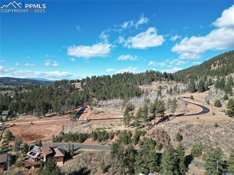 Photo of 1375 Blue Haven Place, Woodland Park, CO 80863 (MLS # 3942208)