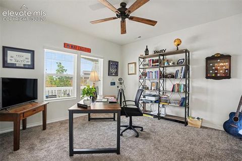 Tiny photo for 11069 Silky Thread Road, Peyton, CO 80831 (MLS # 2044952)