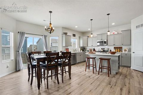 Tiny photo for 11069 Silky Thread Road, Peyton, CO 80831 (MLS # 2044952)