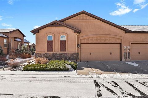 Photo of 13015 Cake Bread Heights, Colorado Springs, CO 80921 (MLS # 7263074)