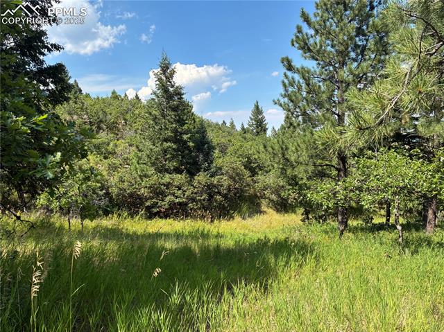 920 Grey Mountain Point