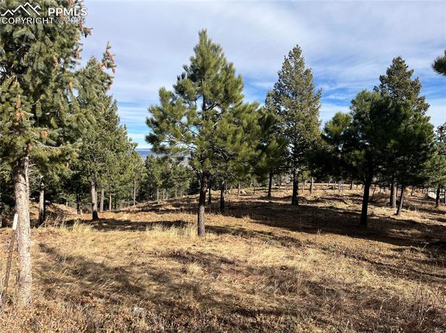 920 Grey Mountain Point