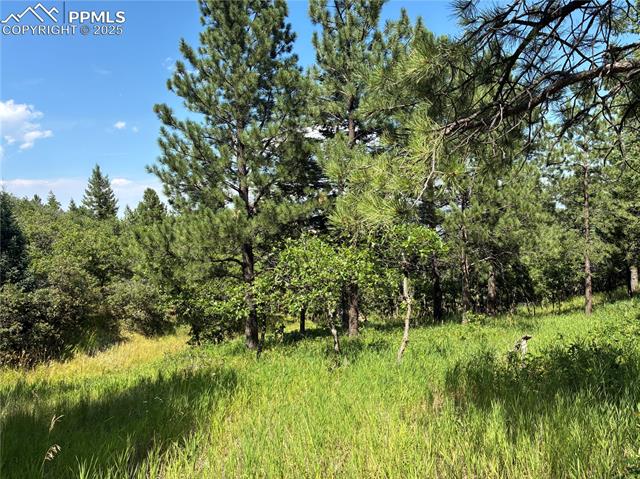 920 Grey Mountain Point