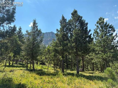 920 Grey Mountain Point Colorado Springs CO 80906